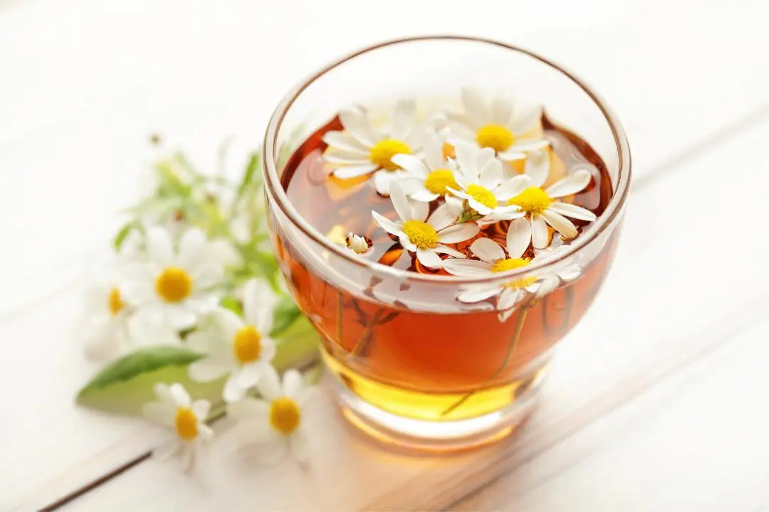 5-benefits-of-drinking-chamomile-tea-before-bed